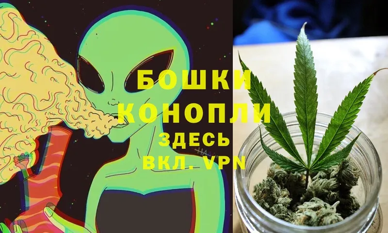 Шишки марихуана OG Kush  где найти   Никольск 